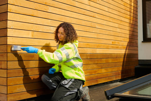 Best Fascia and Soffit Installation  in Aspermont, TX